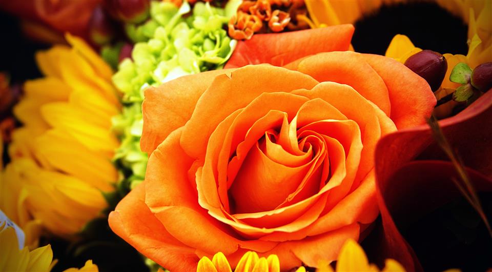 Betty McGrath - Listowel Florist - Autumn Flowers